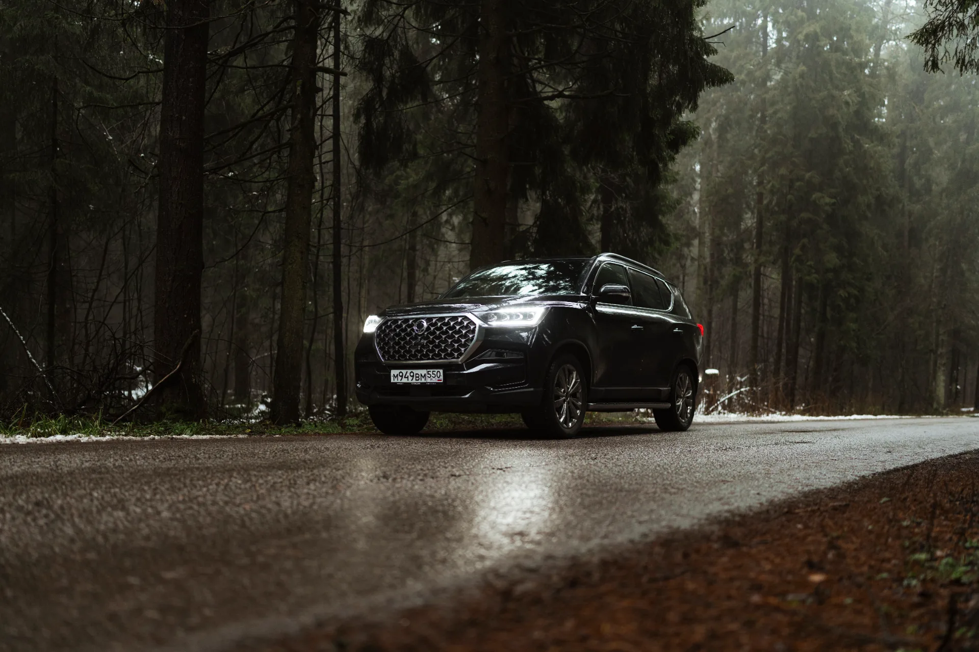 КГМ промо лес